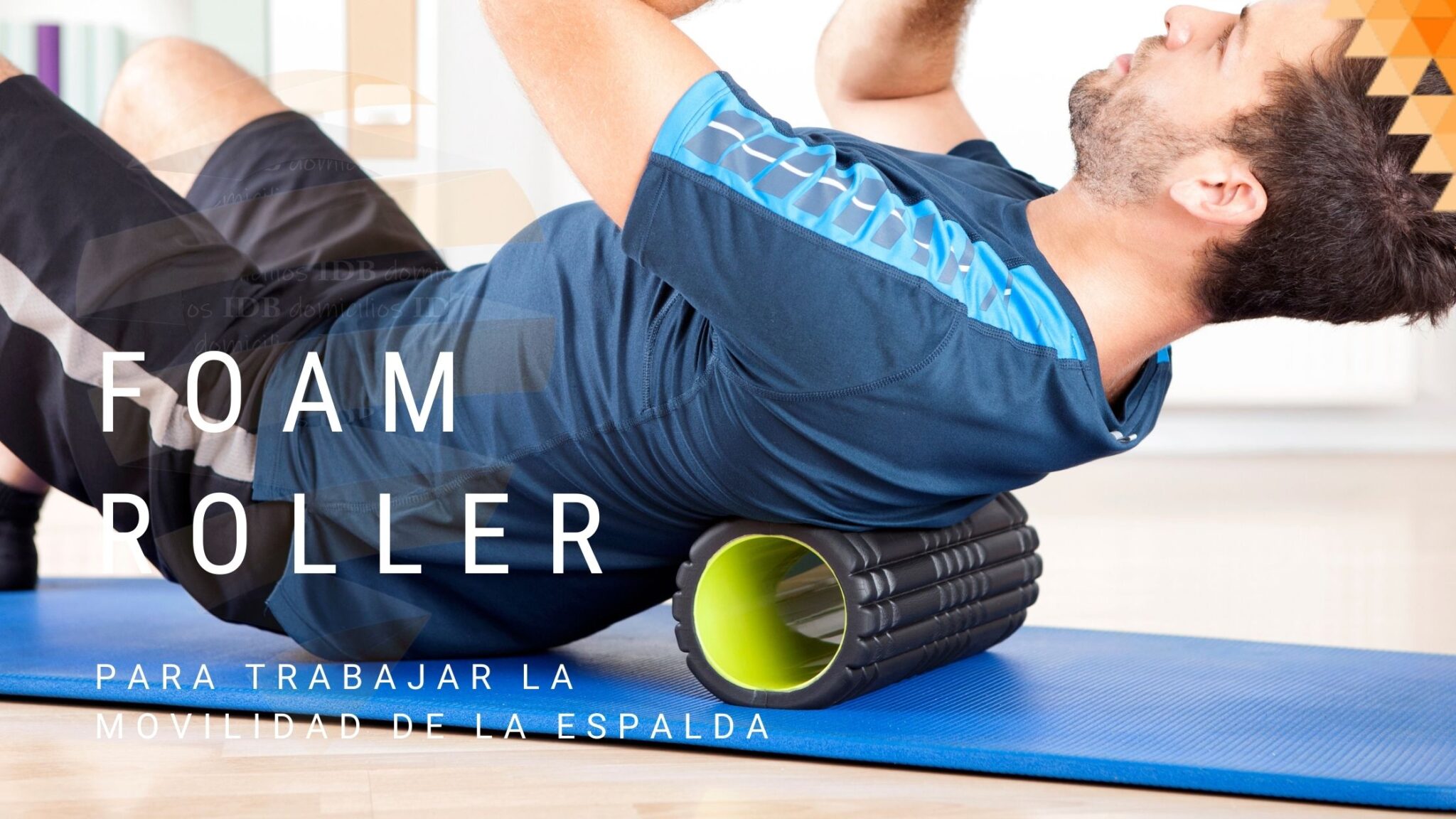 Foam Roller Beneficios y 6 Ejercicios. Fisioterapia a domicilio